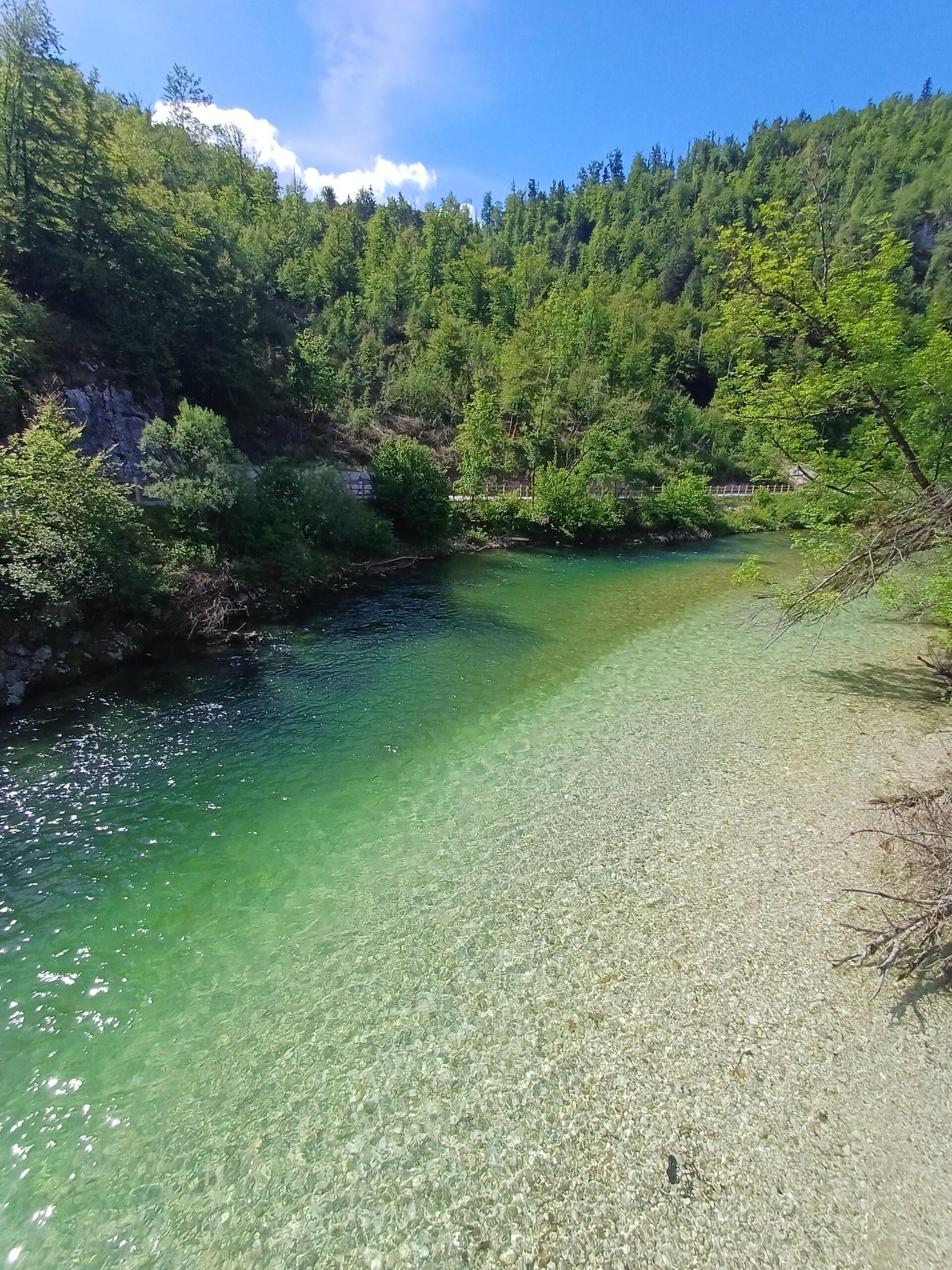 Řeka Sava Bohinjka