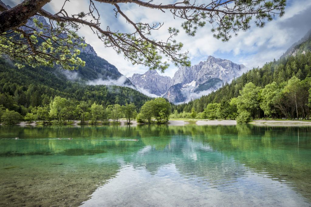Jezero u Kranjské Gory, Slovinsko