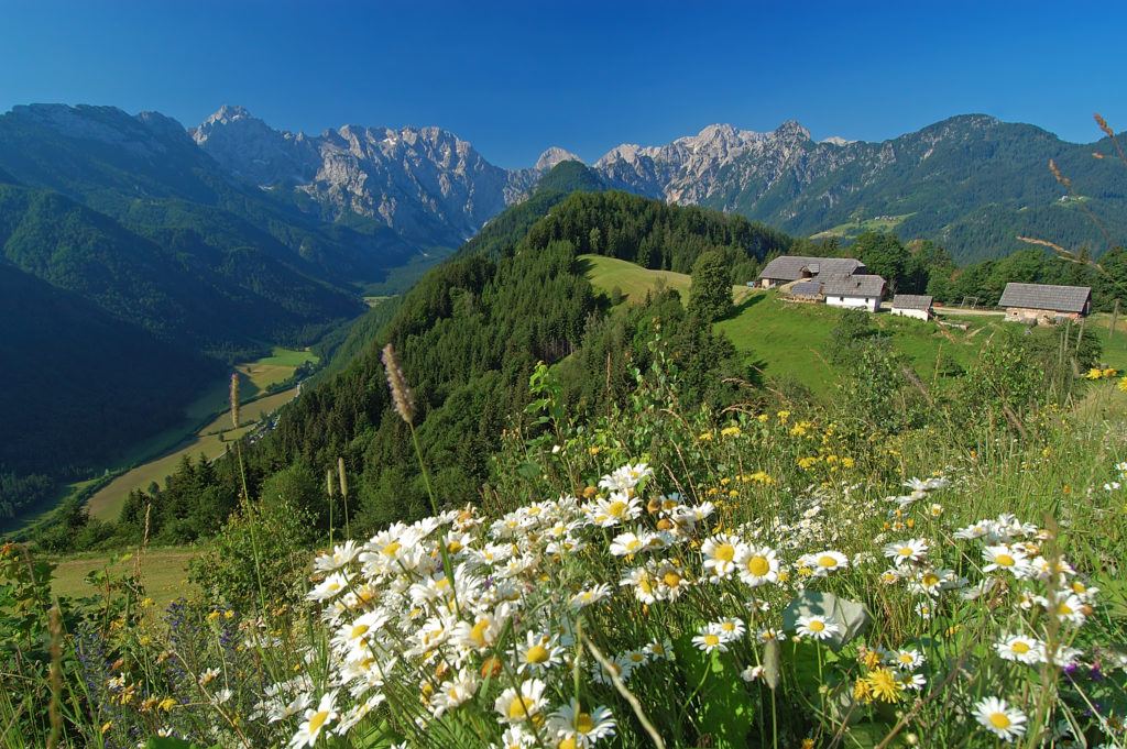 Solčavská panoramatická cesta, Kamnicko-Savinjské Alpy, Slovinsko