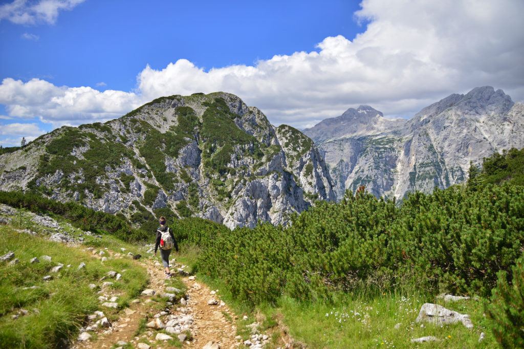 Pokljuka, Julské Alpy, Slovinsko