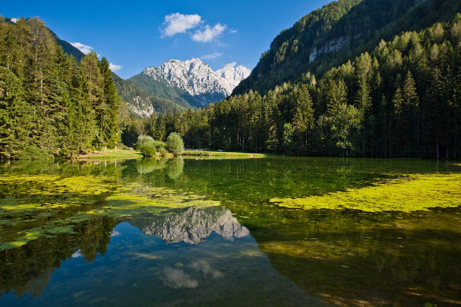 Planšarsko jezero, Jezersko, Slovinsko. Foto: Jošt Gantar