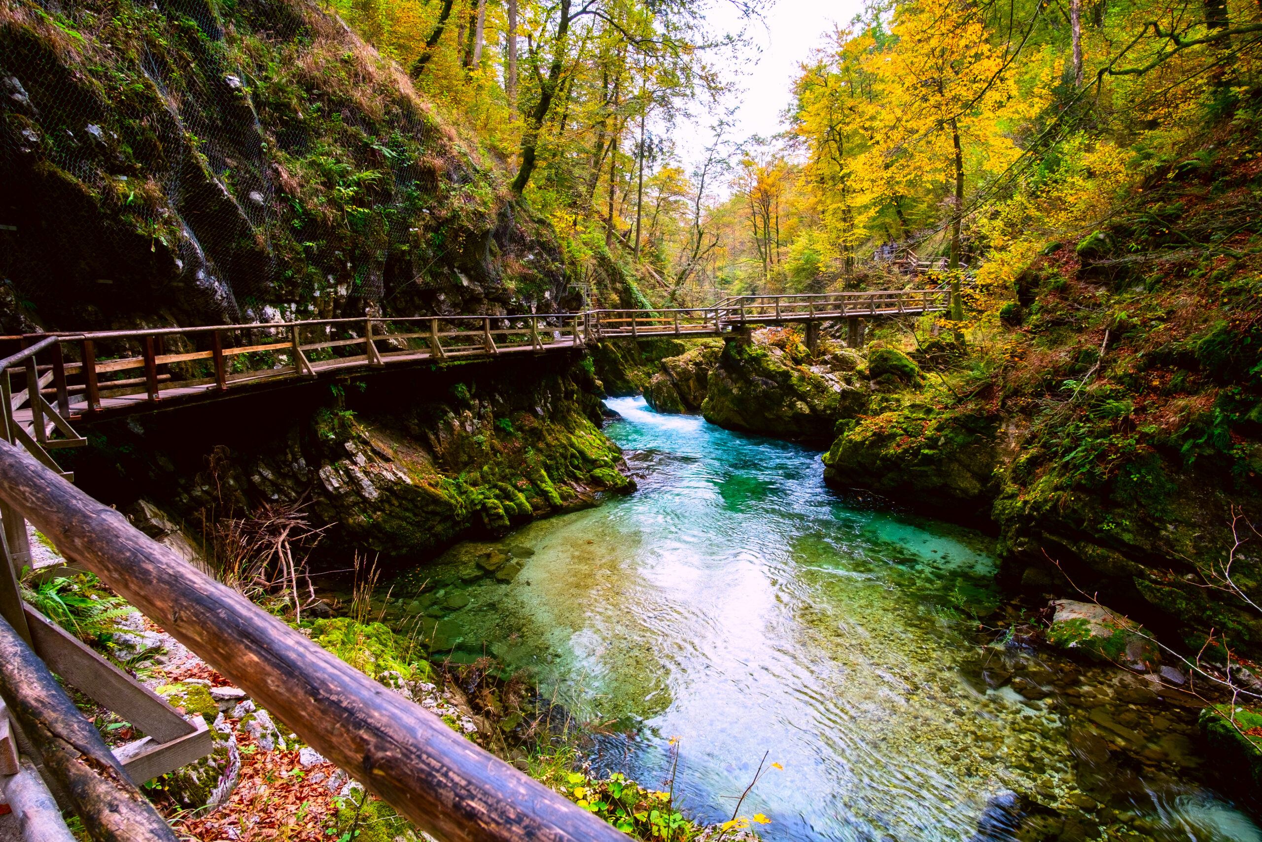 Soutěska Vintgar, Bled, Slovinsko