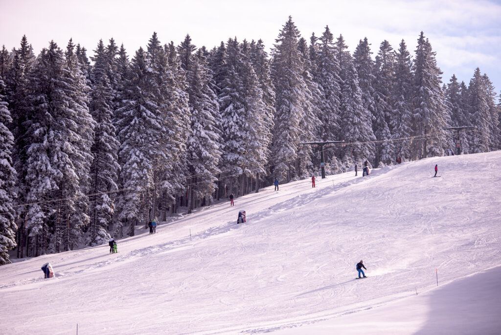 Skiareál Rogla, Slovinsko. Foto: Iztok Medja