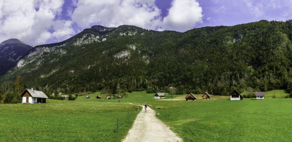 Planina Voje, Bohinj, Slovinsko