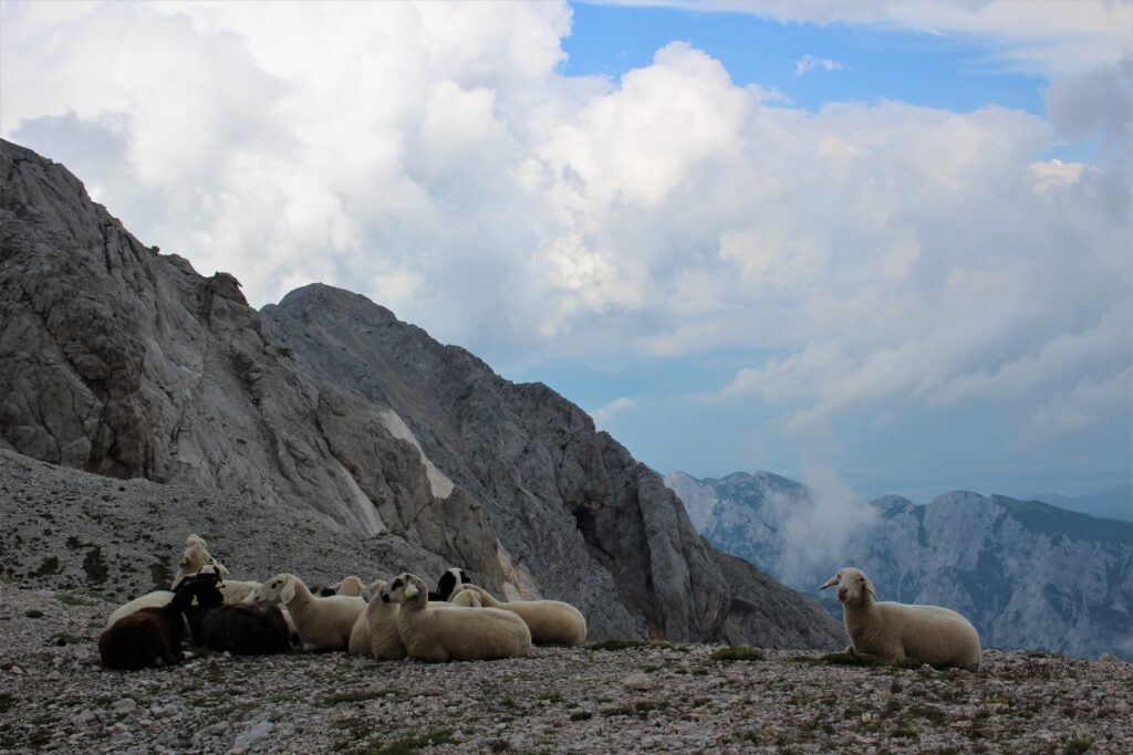 Triglav, Slovinsko