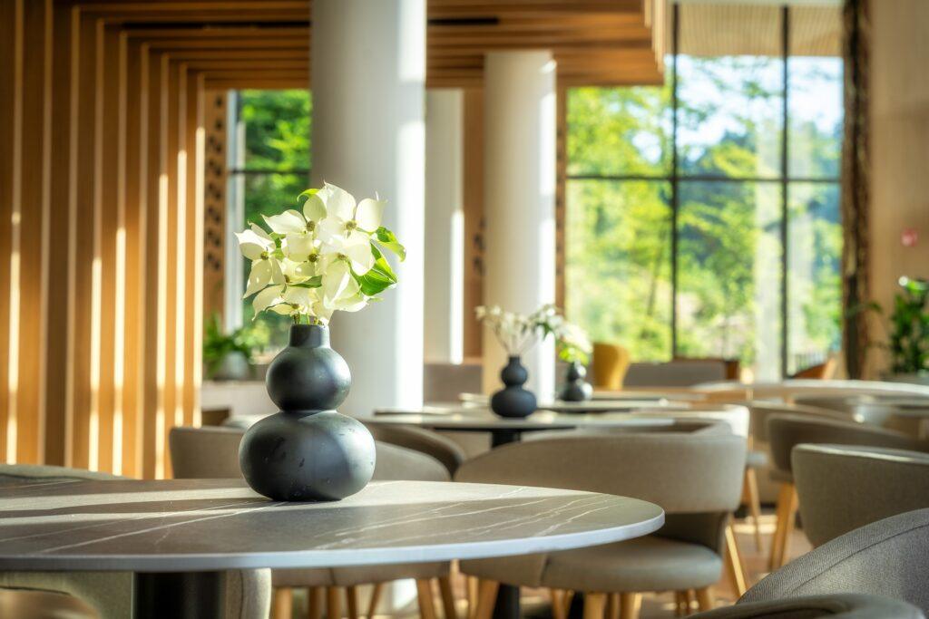 Natur Hotel Snovik, Terme Snovik, Slovinsko